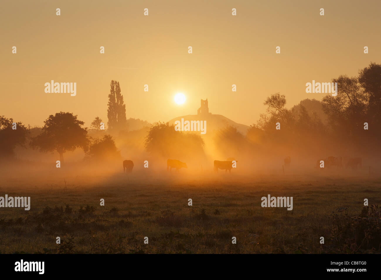 Burrow Mump du Somerset Levels au lever du soleil. Le Somerset. L'Angleterre. UK. Banque D'Images