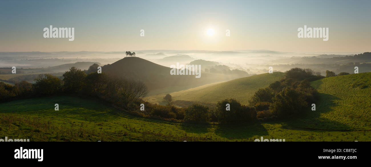 Colmer's Hill et la Marshwood Vale. Le Dorset. L'Angleterre. UK. Banque D'Images