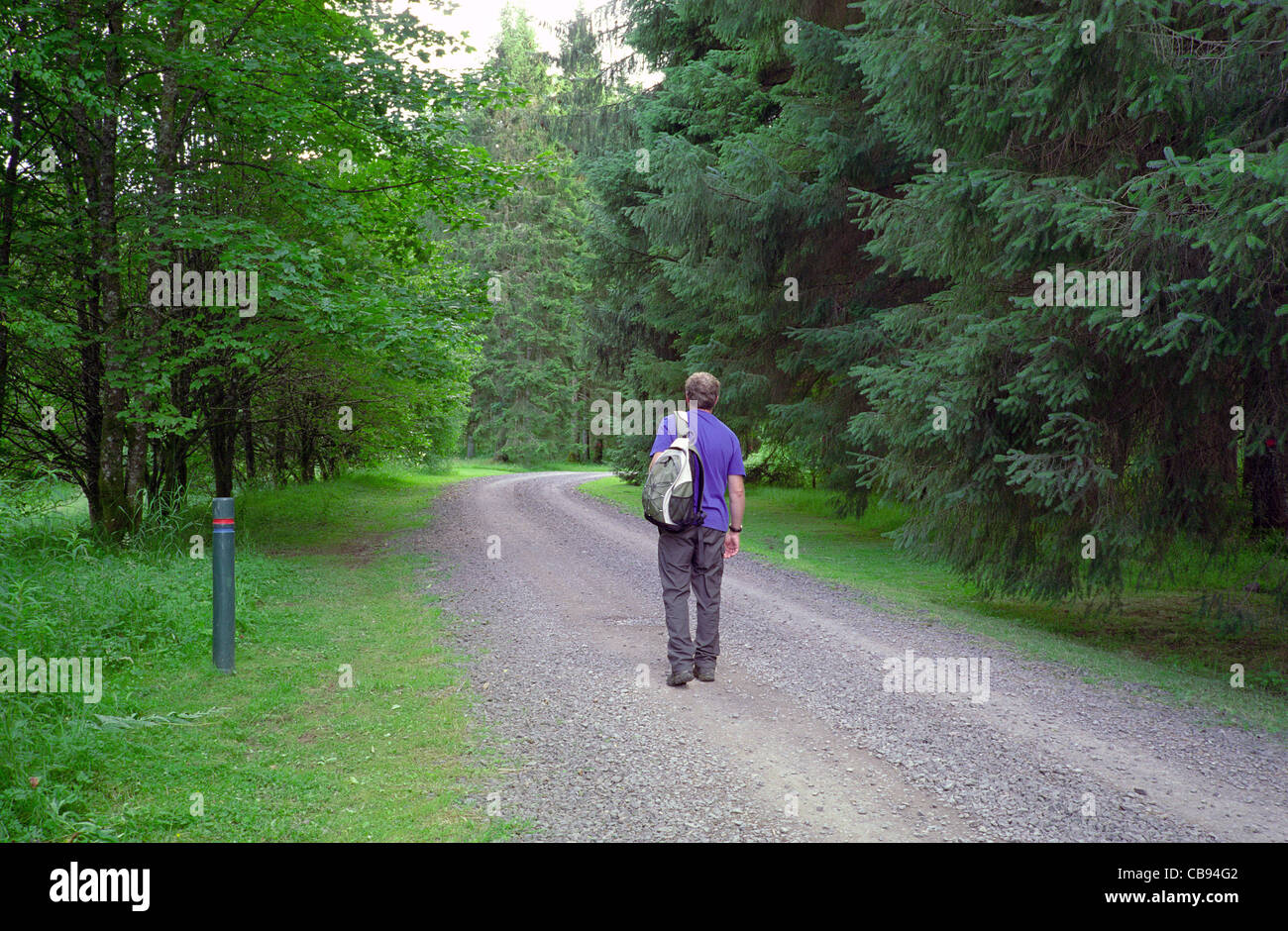 Caucasain mâle adulte Walker marche à travers la forêt de æ, Dumfries & Galloway, Scotland, UK PUBLIÉ MODÈLE Banque D'Images