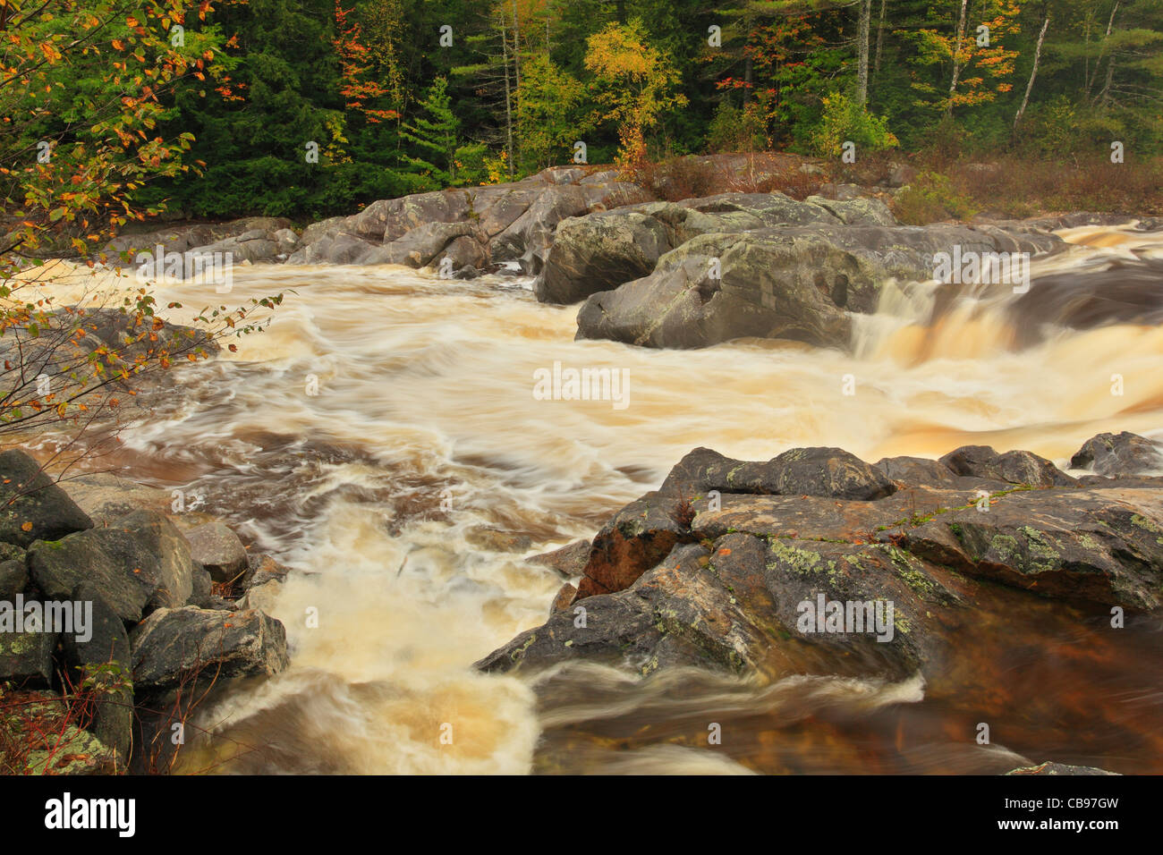 Swift River Falls, Frye, Maine, États-Unis Banque D'Images