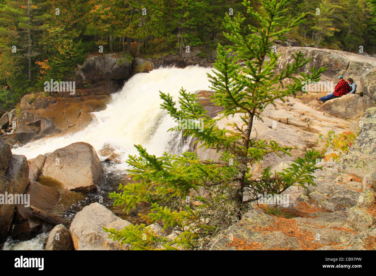 Les grandes chutes du Niagara, sentier des Appalaches, Nesowadnehunk Stream, Baxter State Park, Kings Beach, Maine, USA Banque D'Images