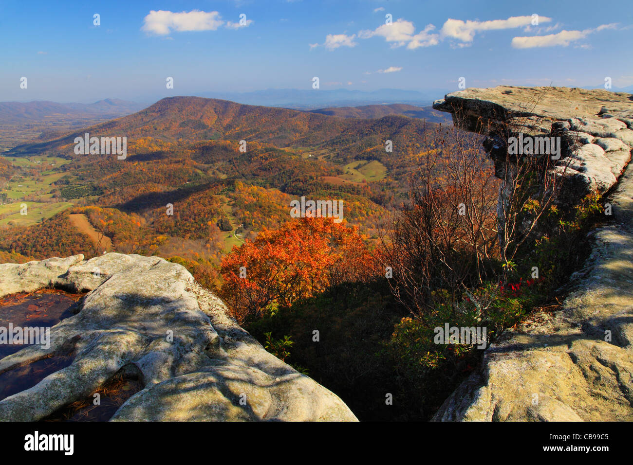 Bouton de McAfee, sentier des Appalaches, Roanoke, Virginie, USA Banque D'Images