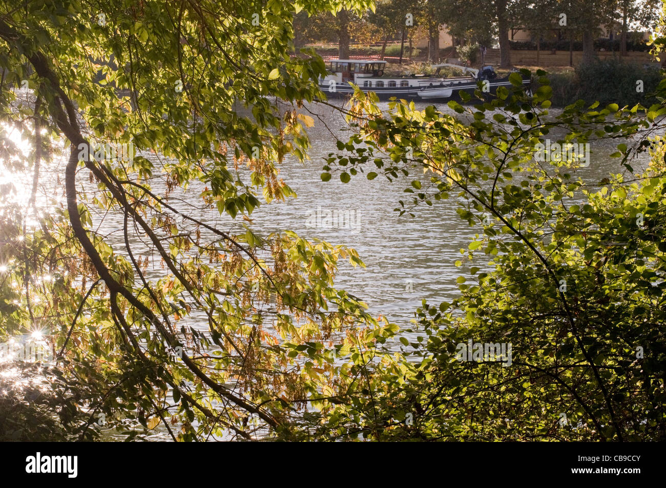 Feuillage de l'automne sur l'ossature du bateau amarré sur les rives de l'Hérault Banque D'Images