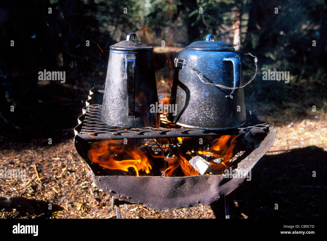 Café 'Cowboy' est brassée dans l'émaillerie pots qui sont chauffés au feu de bois pendant un arrêt de repos sur un cheval Randonnée à cheval en Alberta, Canada. Banque D'Images