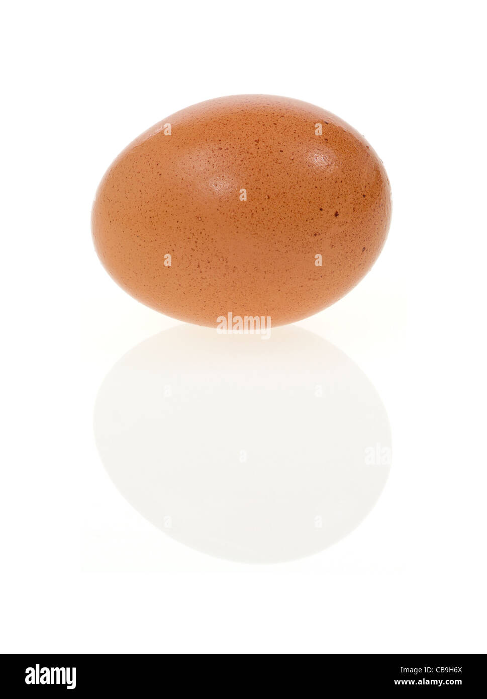 Seul d'œufs biologiques frais de la ferme Banque D'Images