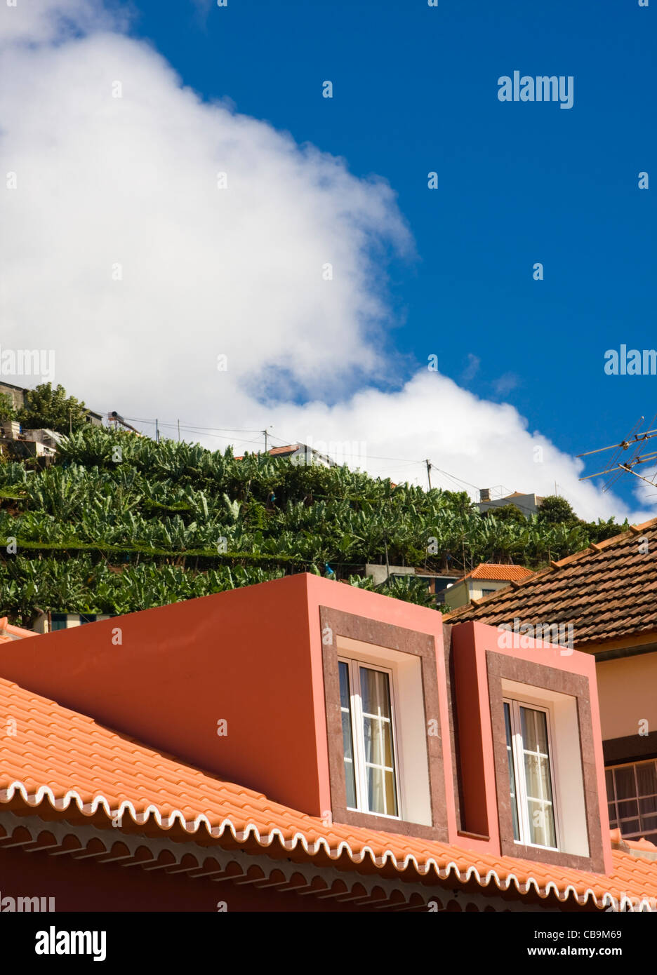 Les toits et terrasses de la banane, Camara de Lobos, près de Funchal, Madère, automne 2011, voyage, couleur, couleur, mer, côte, village, Banque D'Images