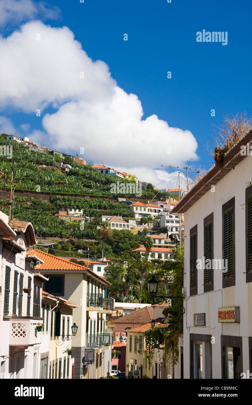 Rua Sao Joao de Deus et terrasses de la banane, Camara de Lobos, près de Funchal, Madère Banque D'Images