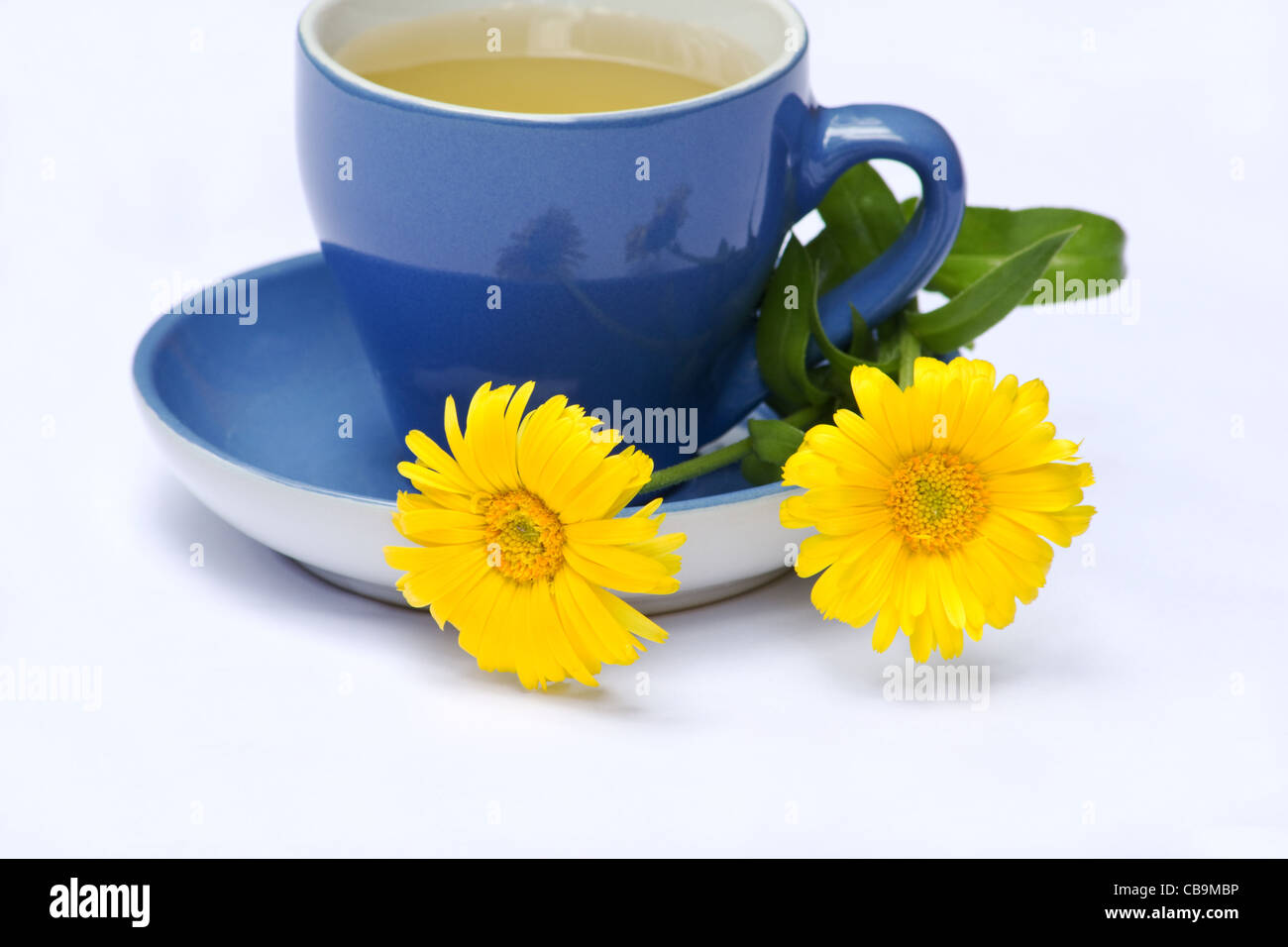 Tasse de thé et des fleurs de calendula Banque D'Images