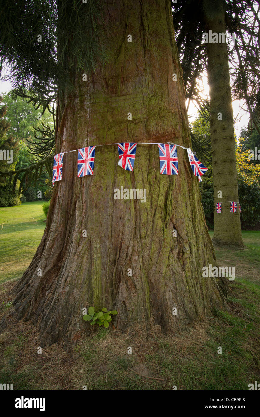 Bunting autour d'un arbre dans un cadre rural, l'Union Jack drapeaux, Surrey, UK Banque D'Images