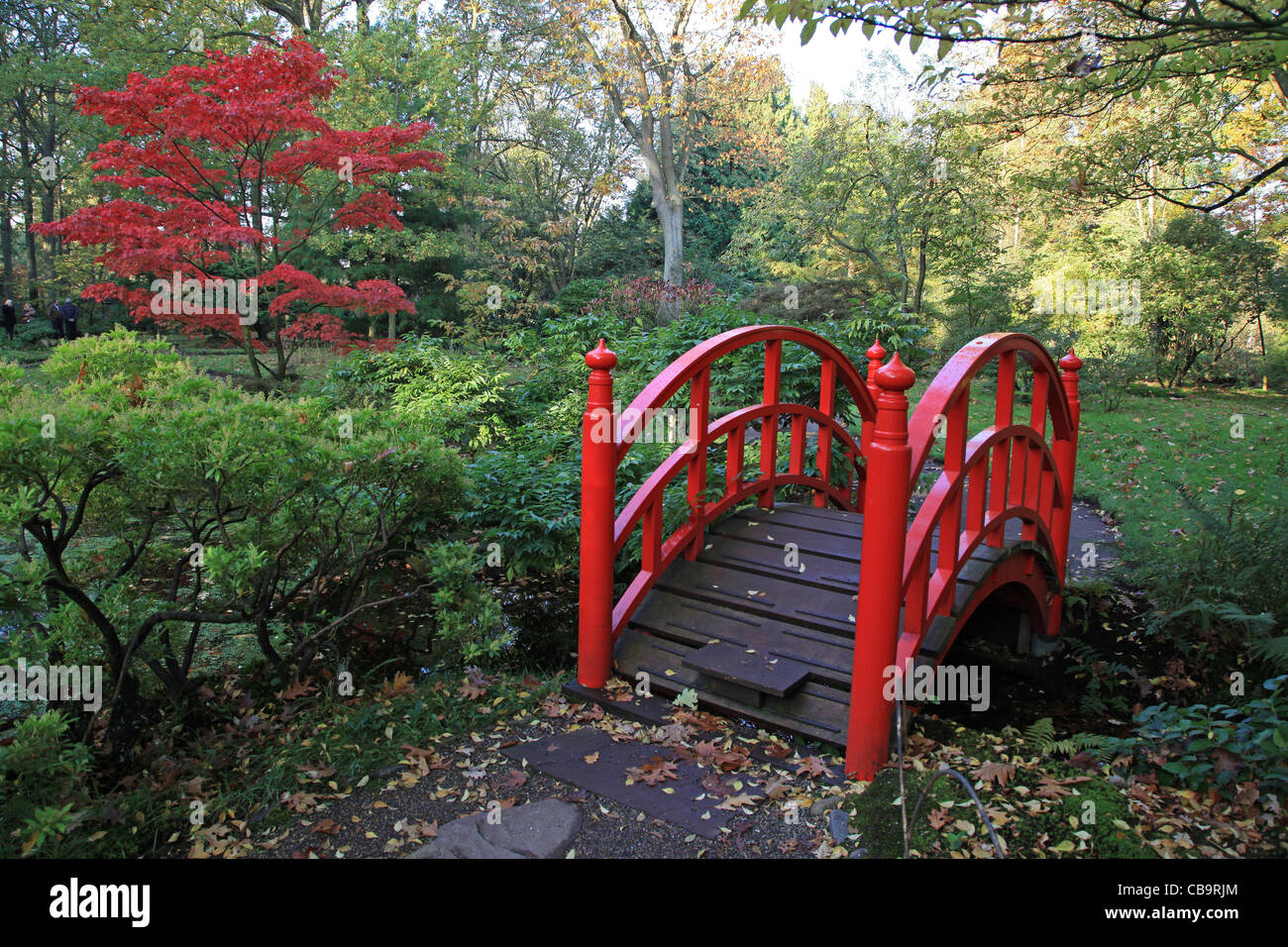 Jardin japonais en automne Banque D'Images