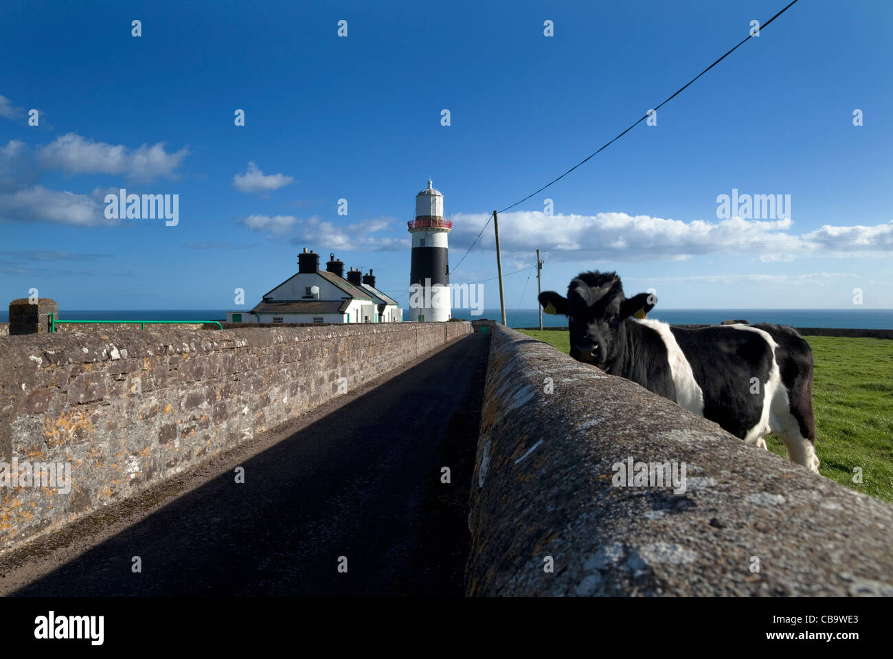 La mienne Head Lighthouse, bague Péninsule, comté de Waterford, Irlande Banque D'Images