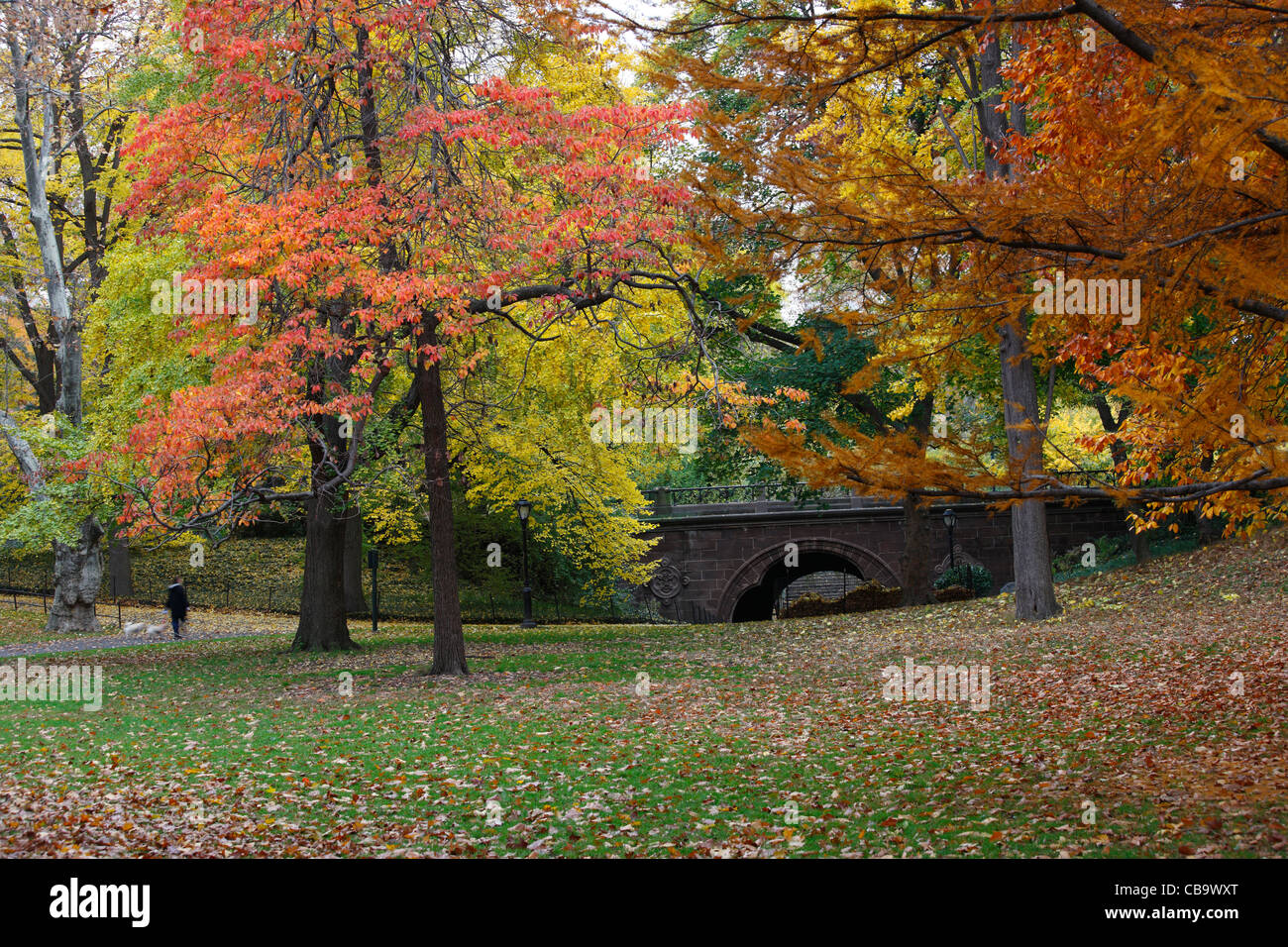 Corniculé Arch dans Central Park, New York City, au cours de l'automne à partir de la côte orientale de l'arche. Banque D'Images