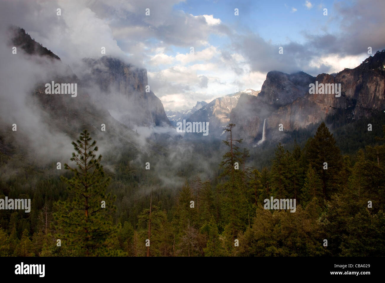 La vallée d’Yosemite Banque D'Images