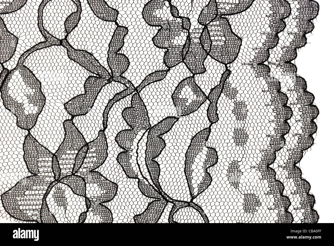 Contexte et bordure de dentelle, noir avec motif floral sur fond blanc Banque D'Images