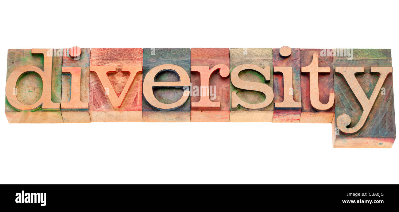 La diversité - mot isolé en bois blocs typographie vintage Banque D'Images