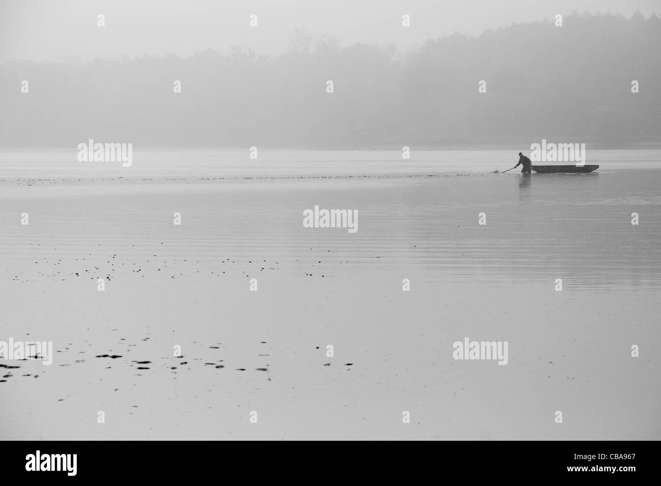 Poisson, pêcheur, la pêche, l'étang des carpes, Choryne Velka Banque D'Images