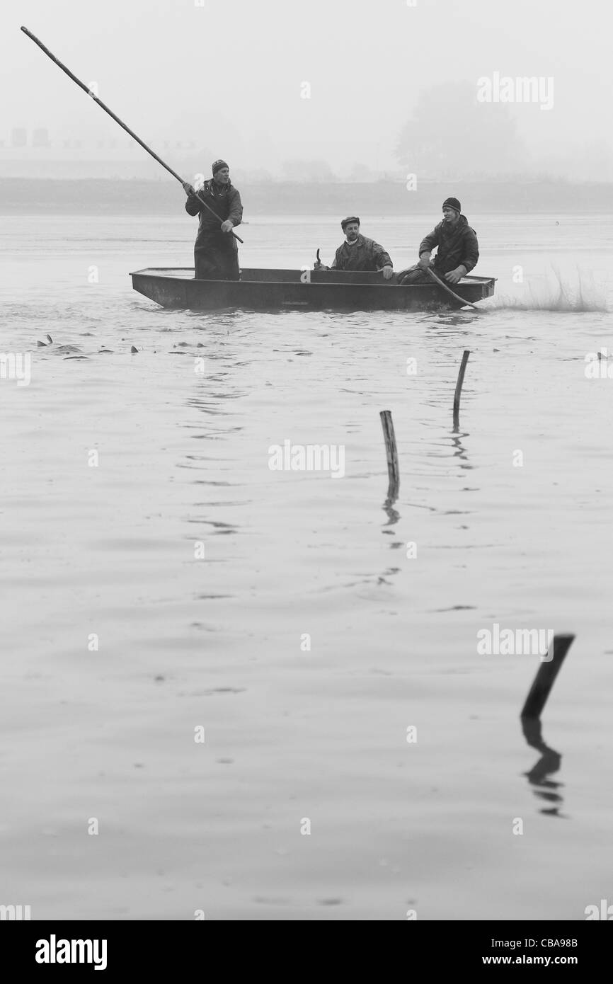 Poisson, pêcheur, la pêche, l'étang des carpes, Choryne Velka Banque D'Images