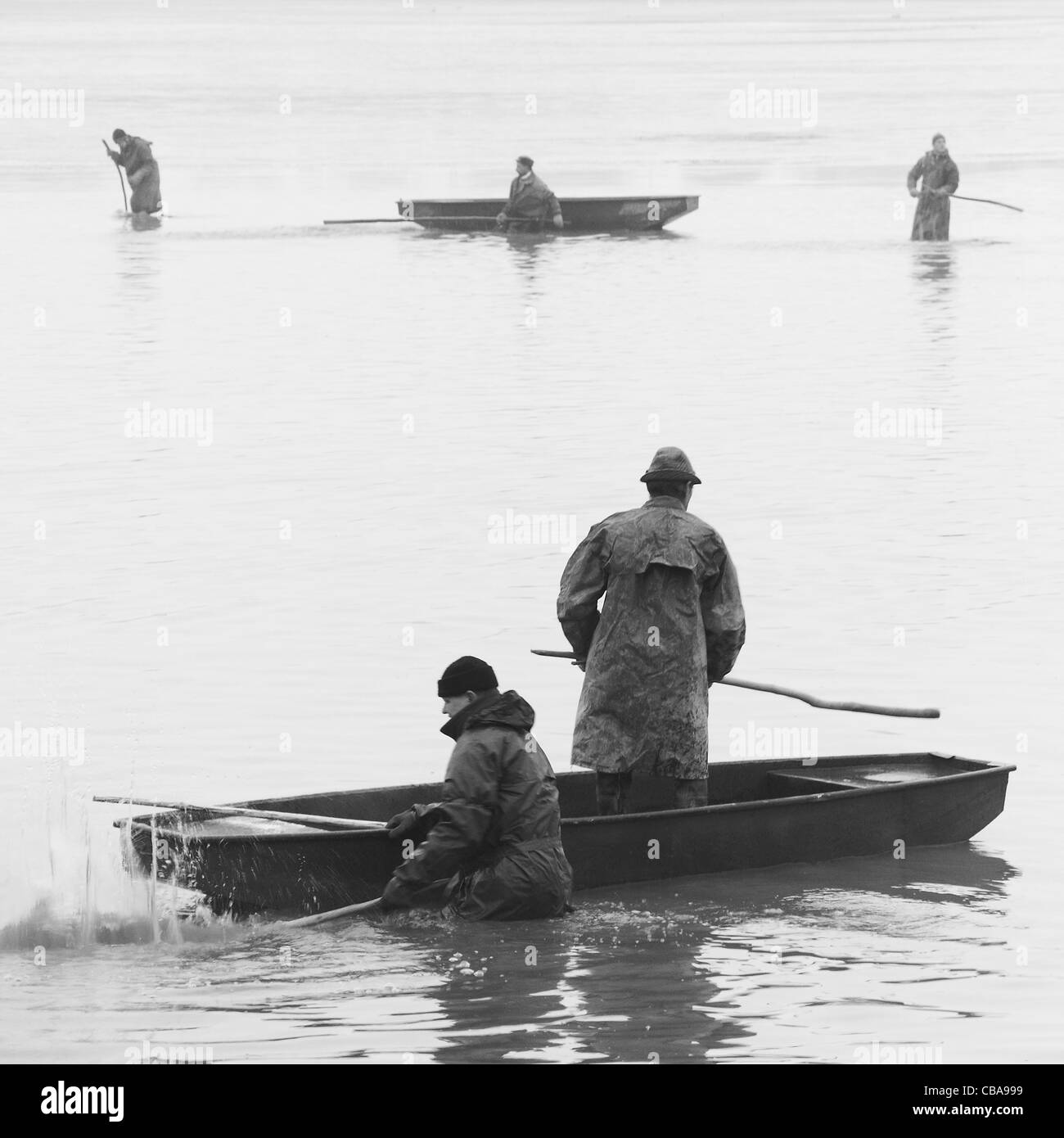 Poisson, pêcheur, la pêche, l'étang des carpes, Choryne Velka Banque D'Images