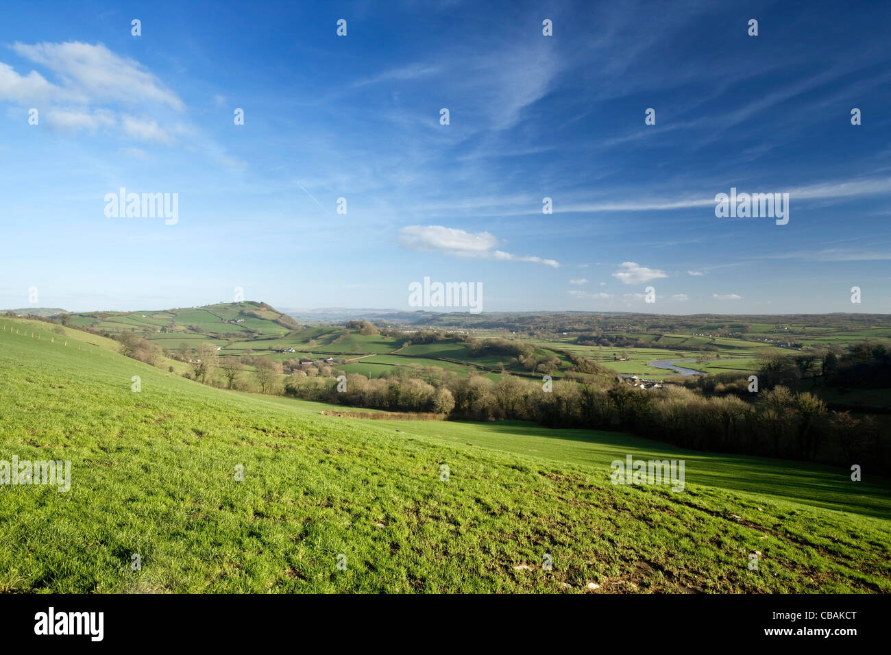 Le pays, le Pays de Galles Banque D'Images