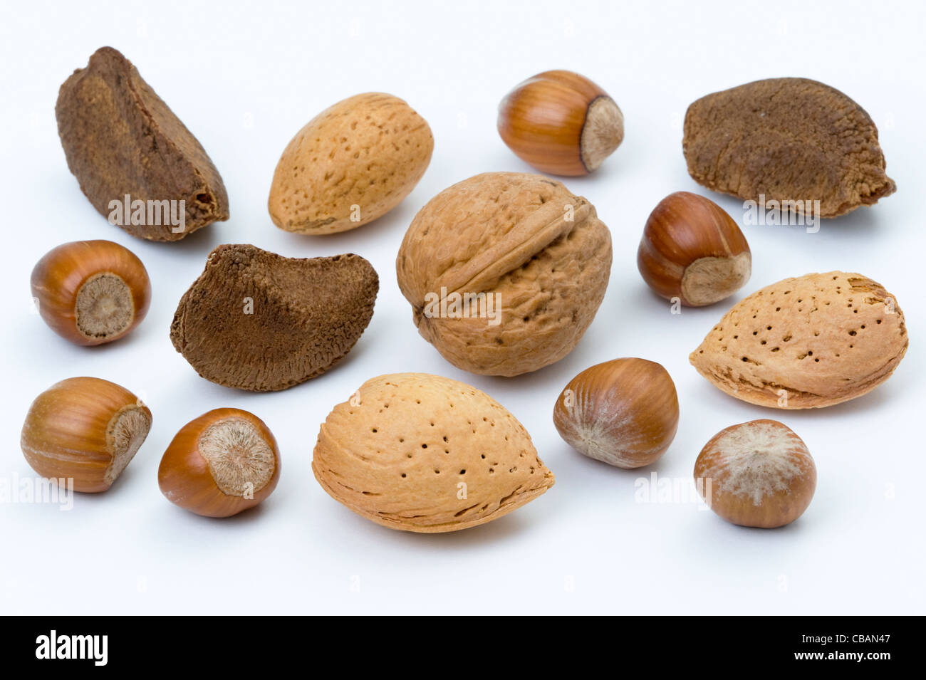 Une sélection de noix dans leur coque y compris : amande, Brésil, noix, noisette Banque D'Images