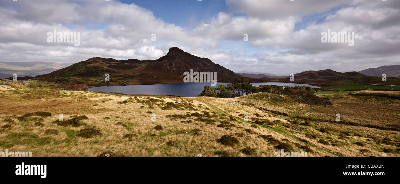 Panorama de l'Cregennan les lacs, près de Dolgellau, Gwynedd, Pays de Galles Banque D'Images