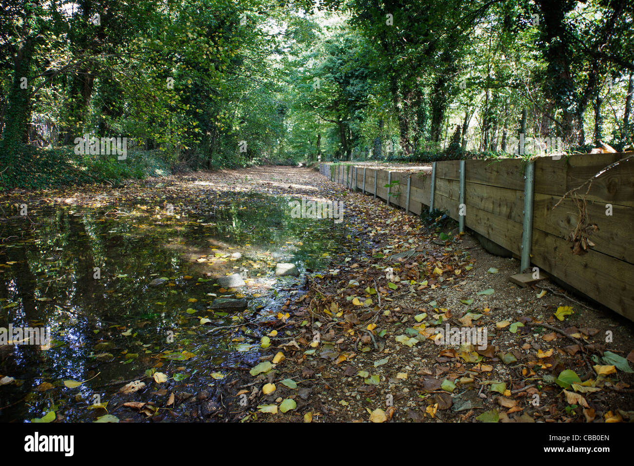 La Tamise dans le Gloucestershire en automne avec de très faibles niveaux d'eau Banque D'Images