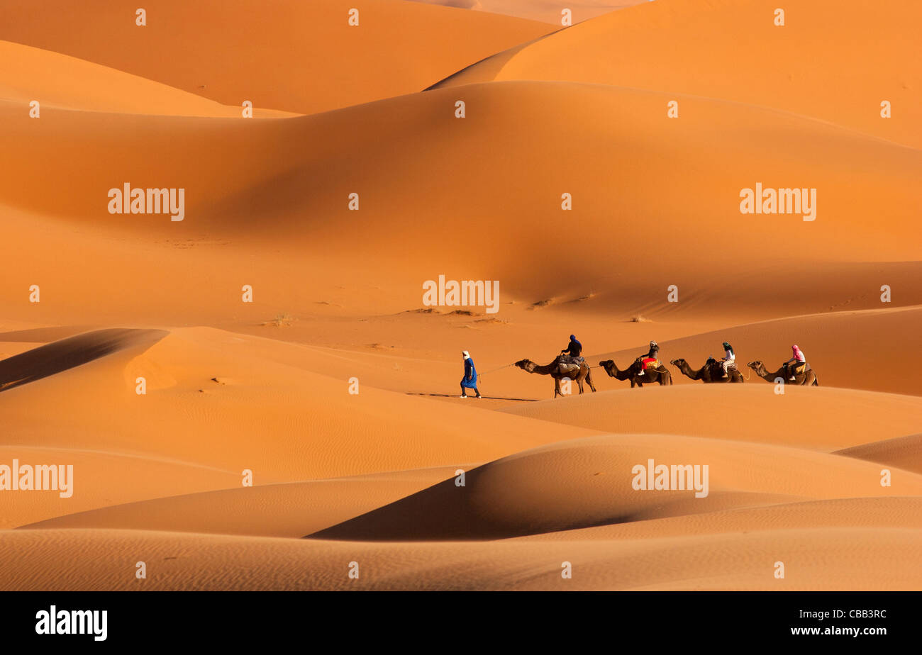 Caravane de chameaux sur désert Afriques Banque D'Images