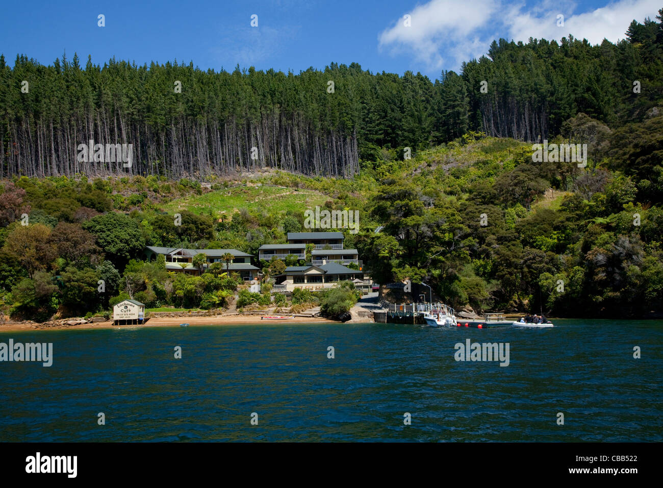 Lochmara Lodge, Marlborough Sounds, île du Sud, Nouvelle-Zélande Banque D'Images