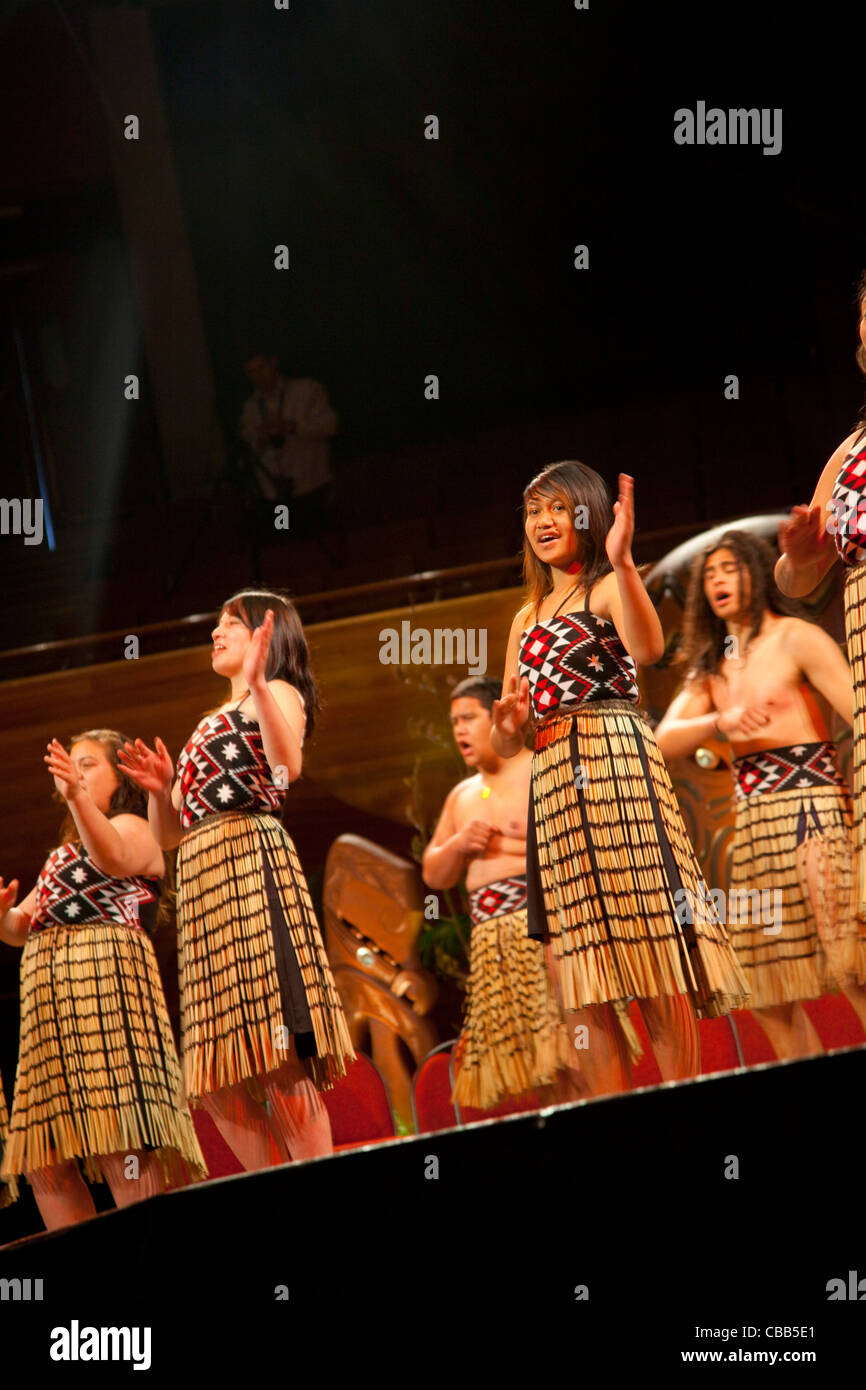 Cérémonie de bienvenue Maori, Wellington, Île du Nord, Nouvelle-Zélande Banque D'Images