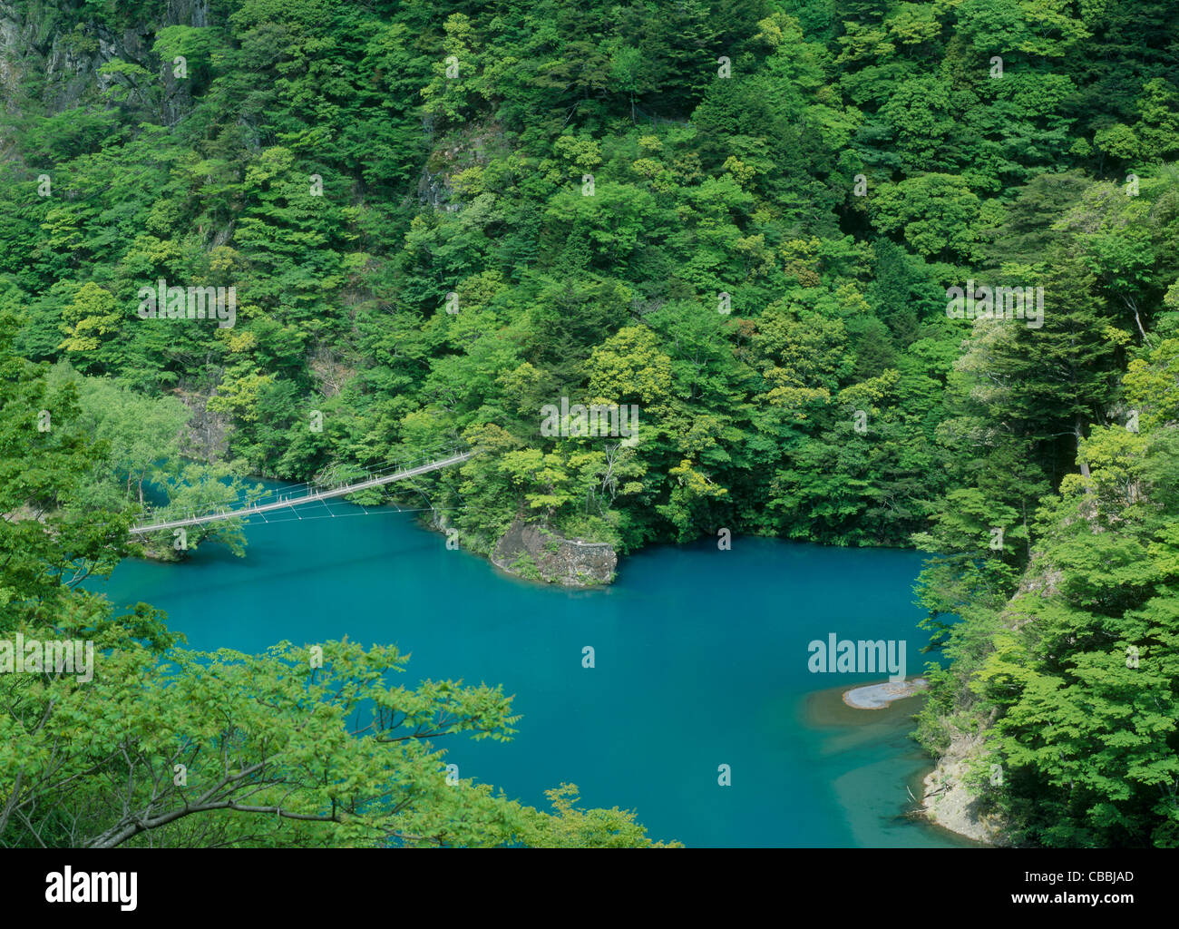 Sumata Kawanehon, Gorge, Shizuoka, Japon Banque D'Images