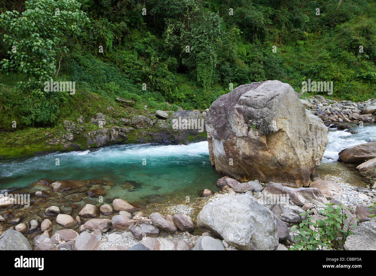 Modi River Valley, près d'Ulleri, sanctuaire de l'Annapurna, Région de l'Himalaya, Népal, Asie Banque D'Images