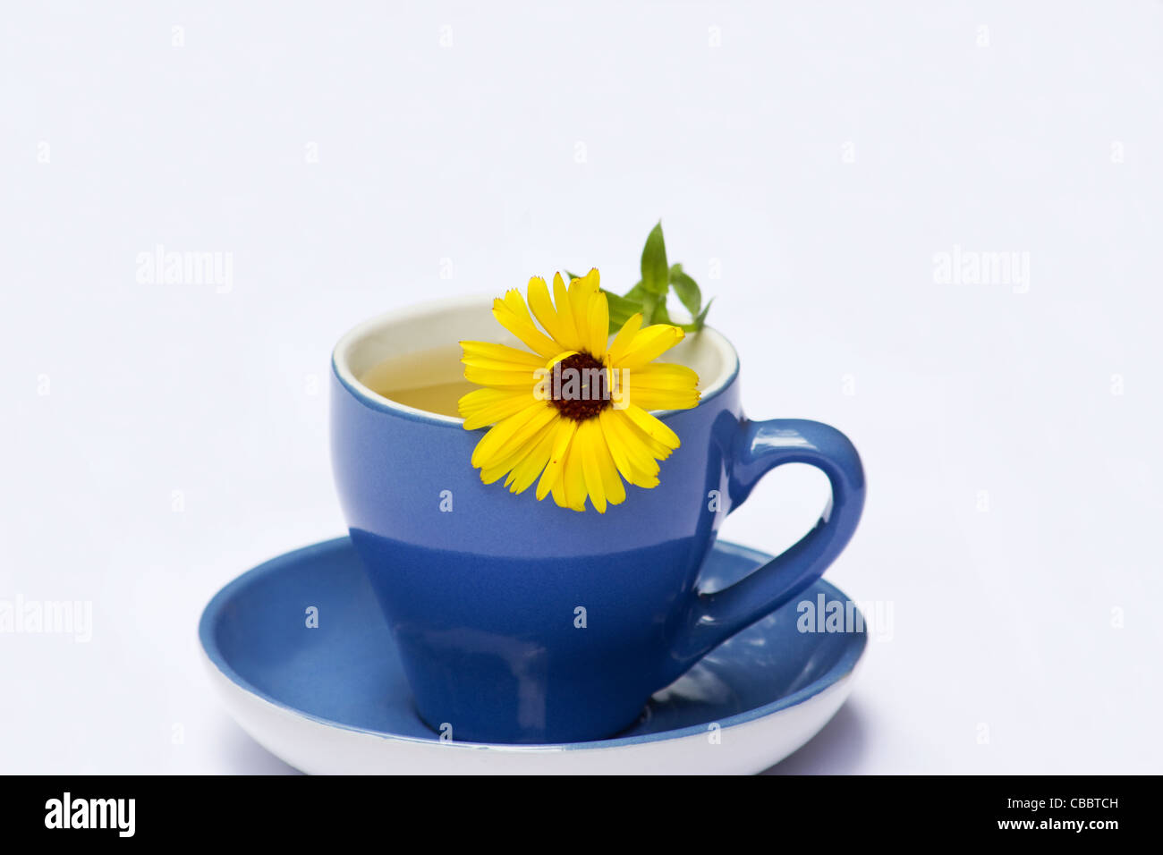 Tasse de thé et de fleurs de calendula Banque D'Images