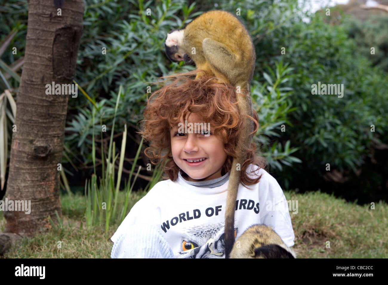 Activités pour les enfants : World of Birds & Monkey Jungle - kid avec velvet monkeys Banque D'Images