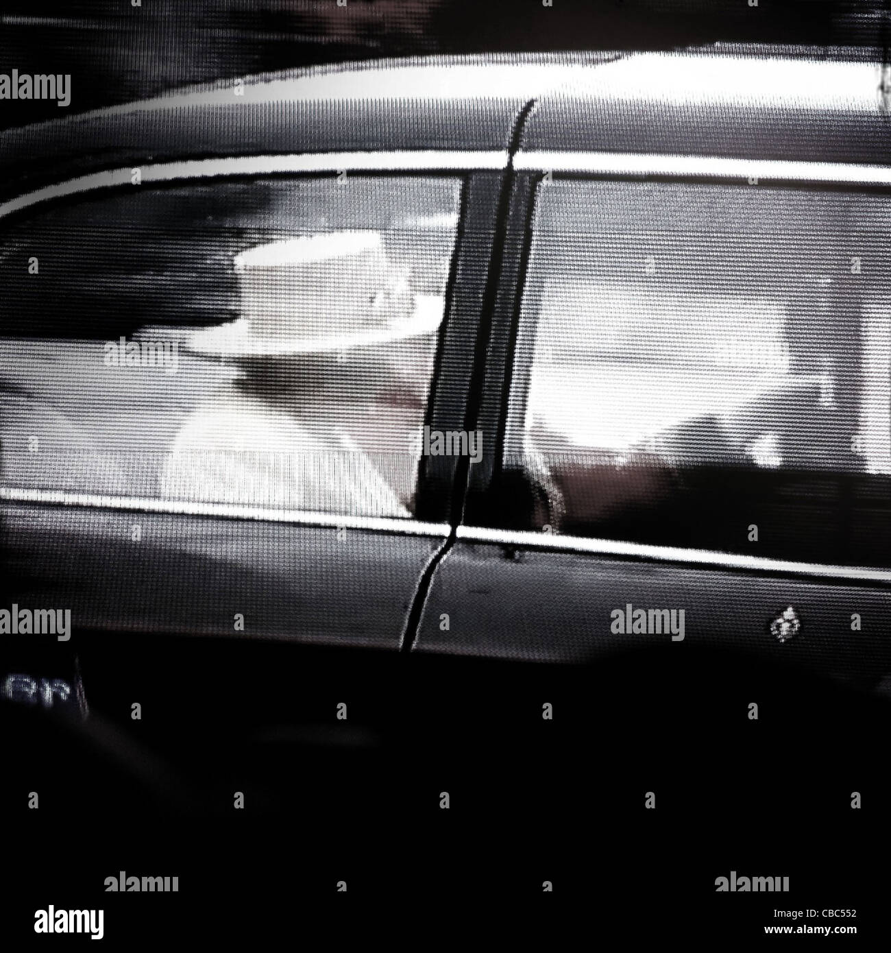 Mariage du Prince William, duc de Cambridge et Catherine, duchesse de Cambridge. Photo : TVODpix Banque D'Images