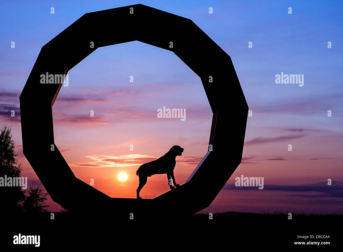 SILHOUETTE SUNSET point allemand Chiens chien debout, faisant face à droite dans une sculpture en granit, Cieux Gate, Longleat Estate Banque D'Images