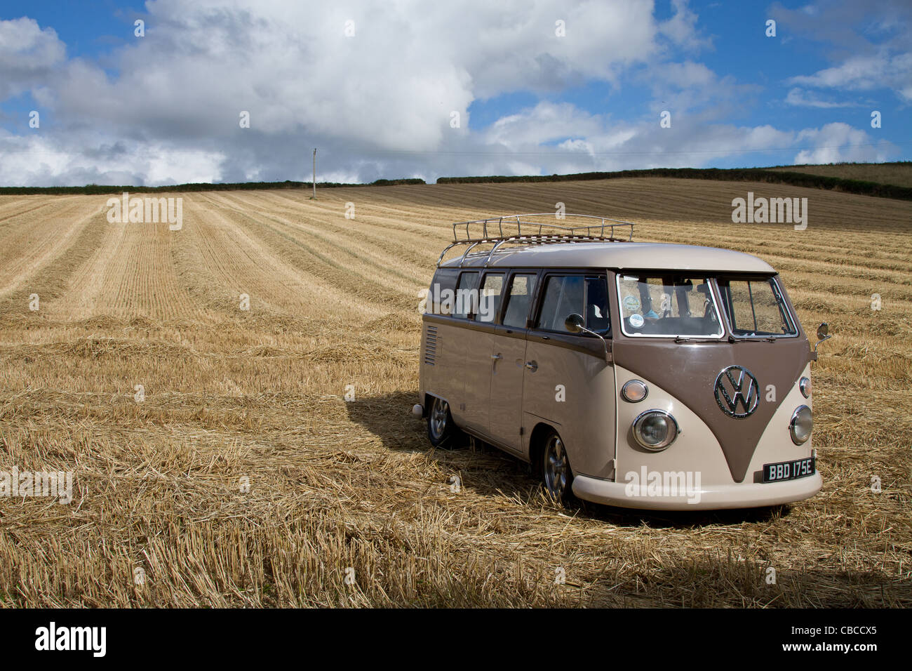 Un écran partagé 1966 Campervan VW, prises dans un champ de maïs à Cornwall on a sunny day Banque D'Images