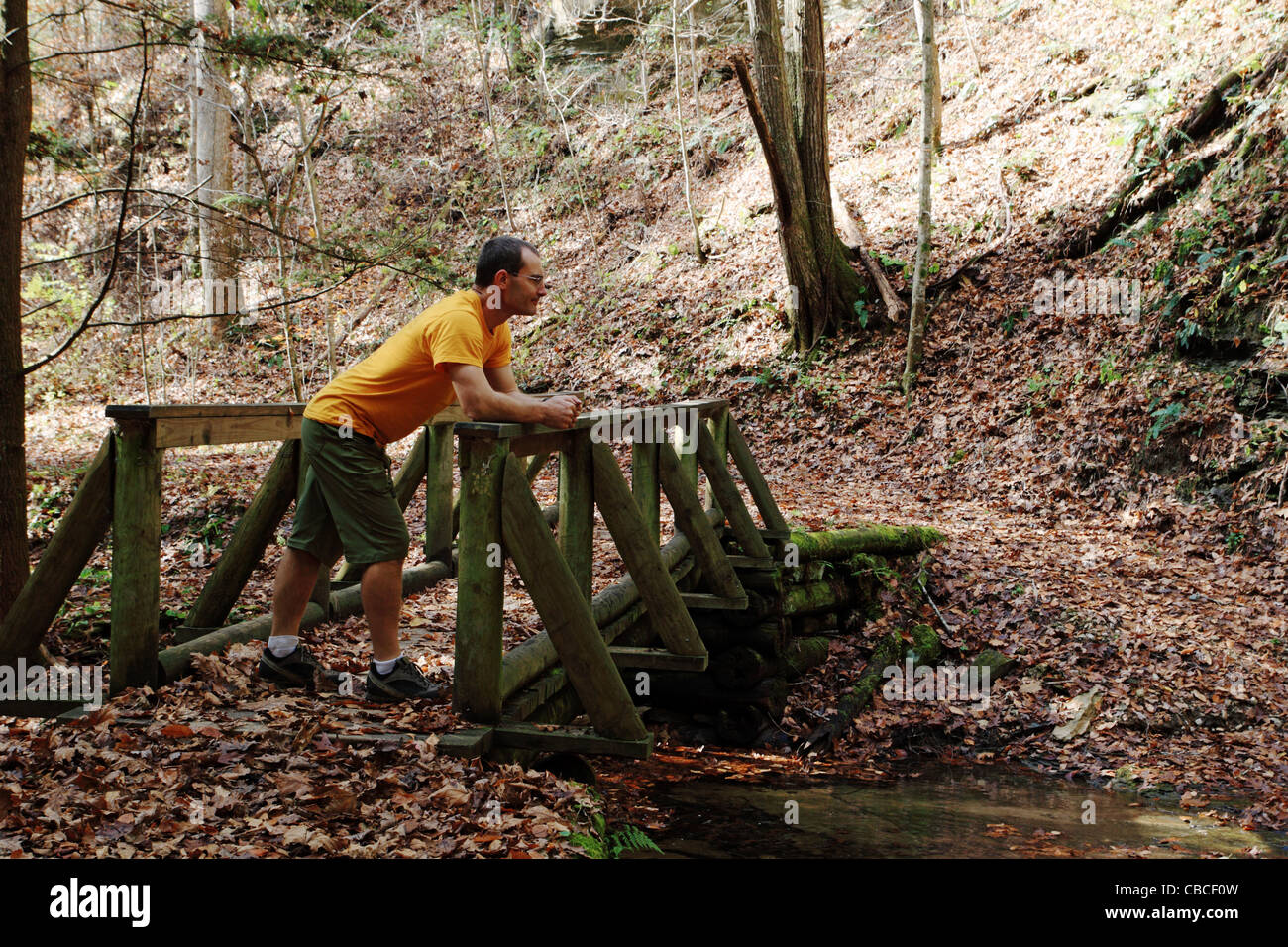 Un homme sur un pont pied dans les bois à l'automne Banque D'Images
