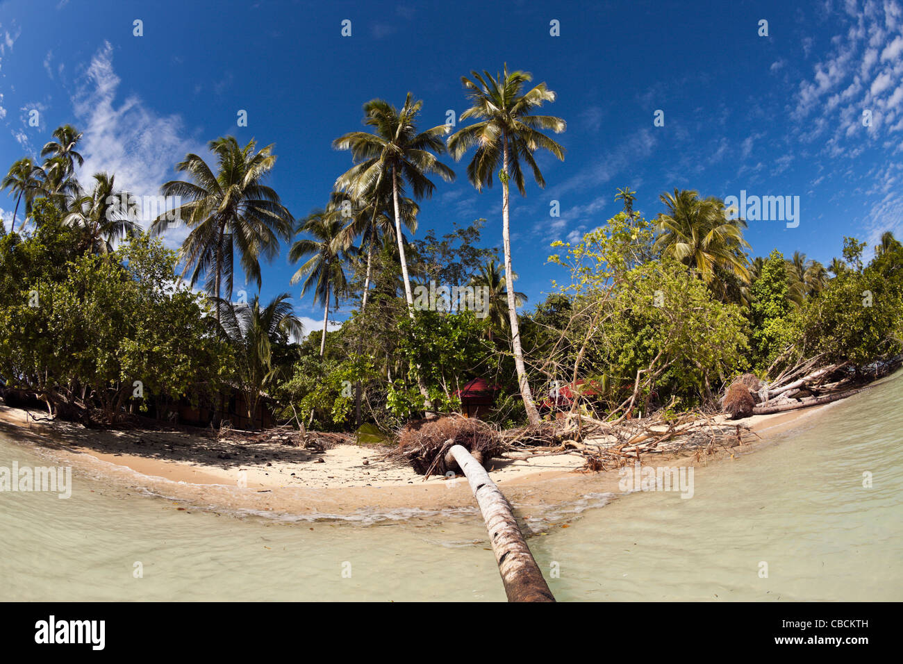 Impressions de Ahe, île de Cenderawasih Bay, en Papouasie occidentale, en Indonésie Banque D'Images