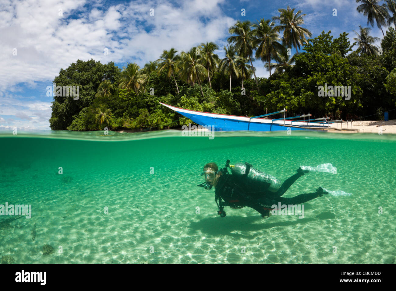Plongée sous marine dans l'île, le Lagon de Ahe Cenderawasih Bay, en Papouasie occidentale, en Indonésie Banque D'Images