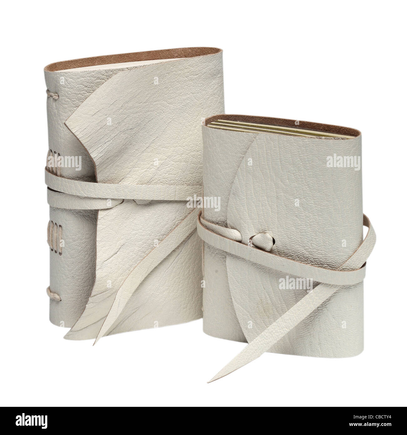 Journal intime de luxe de poche Banque D'Images