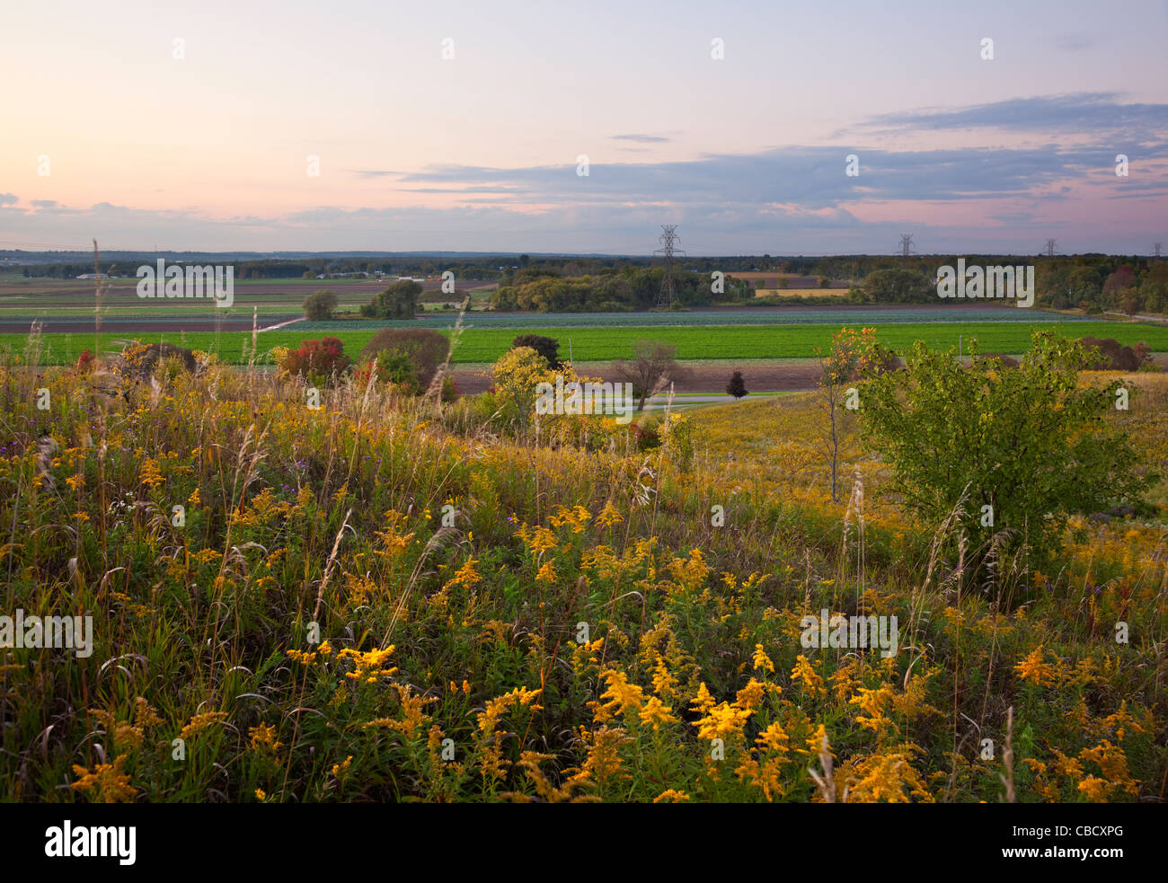 Coucher de soleil sur une section de l'Holland Marsh. Bradford West Gwillimbury, Ontario, Canada. Banque D'Images