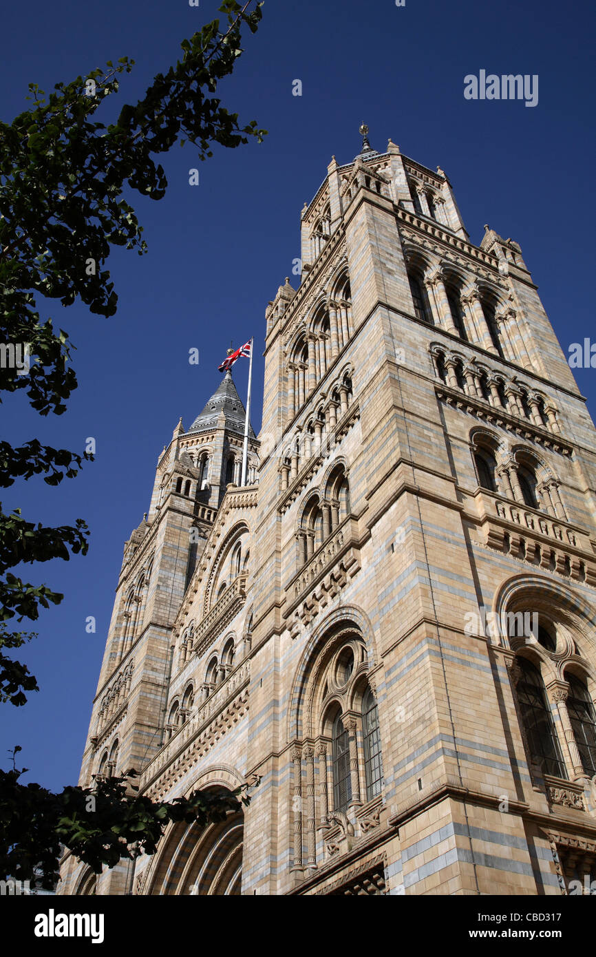 Natural History Museum, Londres. Entrée principale Banque D'Images