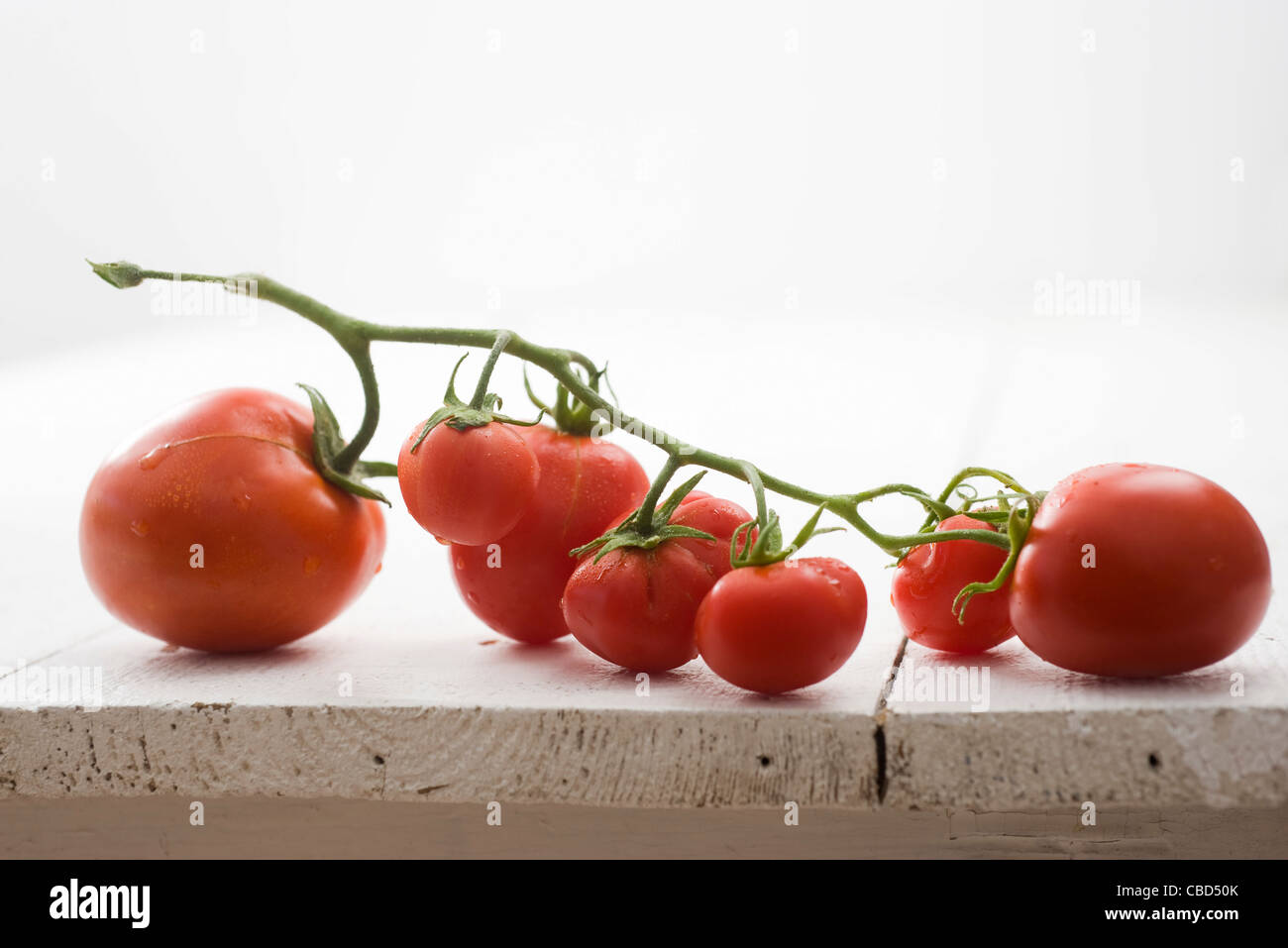 Tomates de vigne Banque D'Images