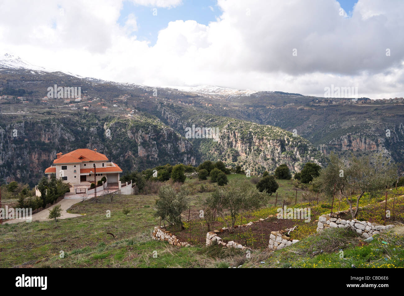 La Vallée de Qadisha, Liban, Christian mountain Heartland. Ehden, Bcharré, Les Cèdres Banque D'Images