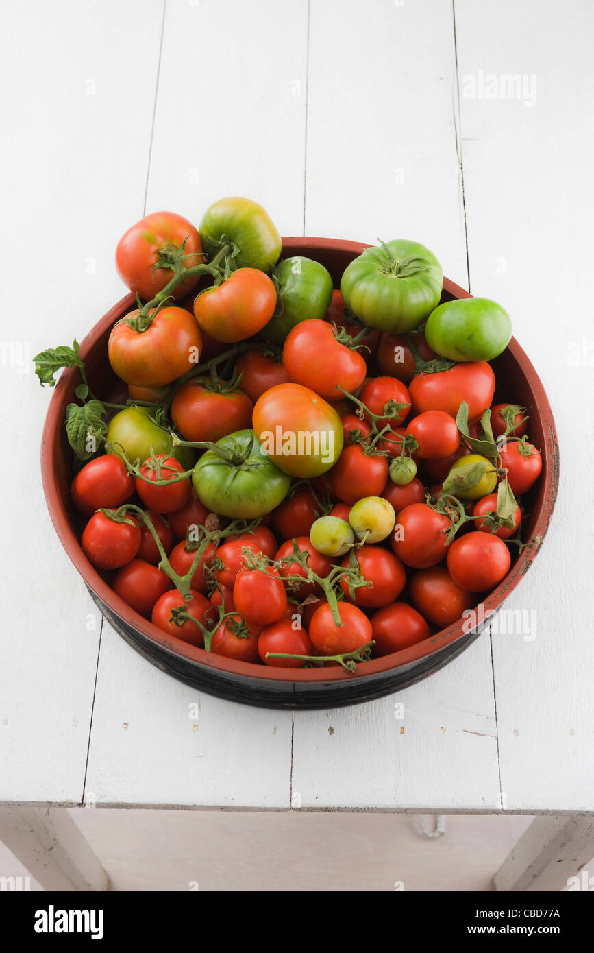 Dans un grand bol les tomates fraîches Banque D'Images