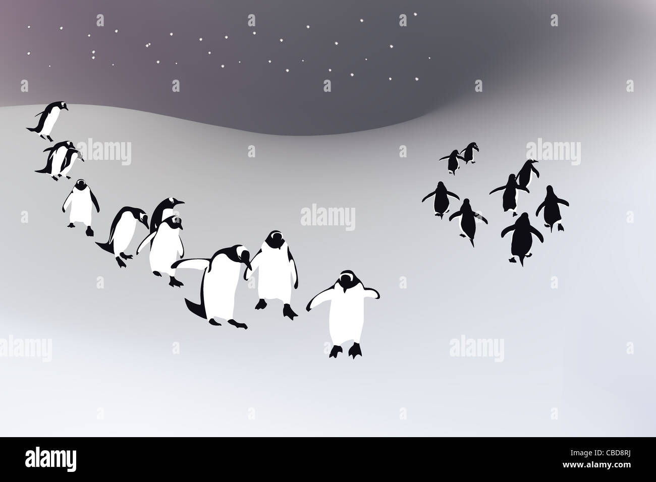 Pingouins Banque D'Images