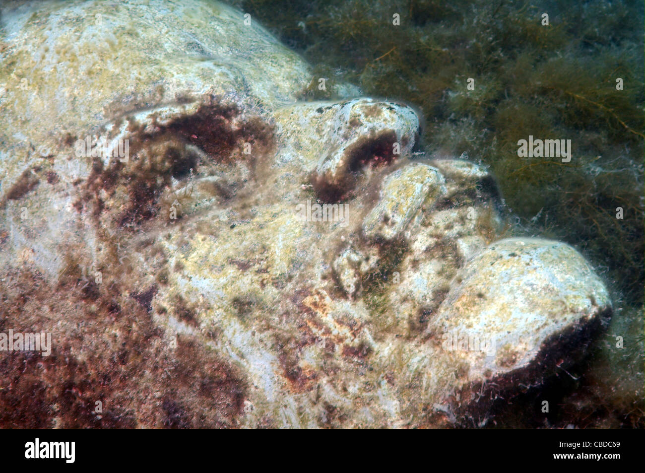 Vladimir Ilitch Oulianov Lénine sculpture sculpture d'abord dans le monde musée subaquatique Leaders' Alley ou Atlantis soviétique Banque D'Images