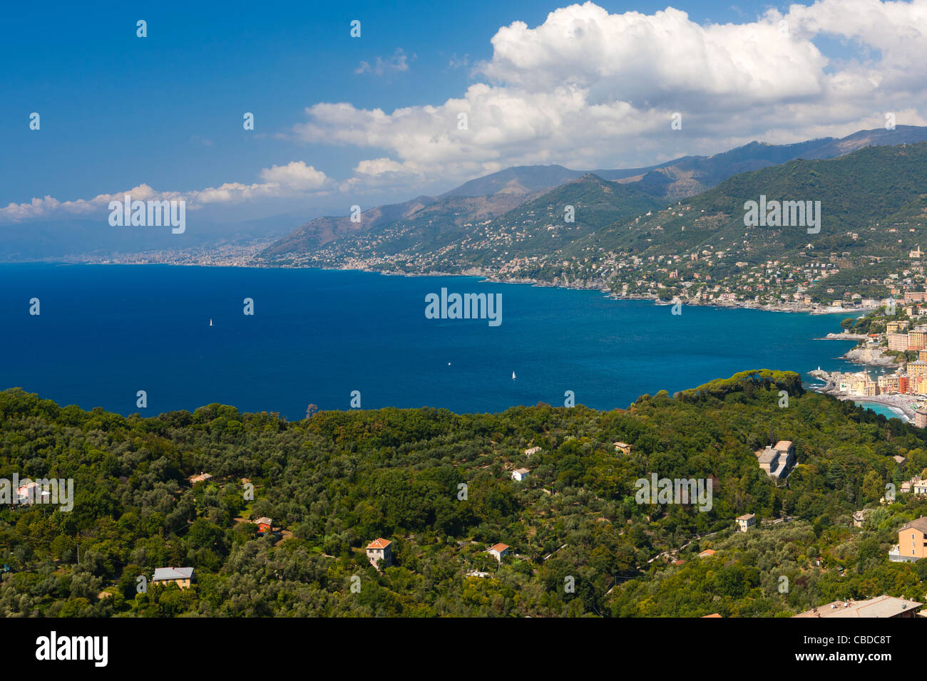 High angle view of a Camogli, Riviera di Levante, Province de Gênes, Ligurie, Italie, Europe Banque D'Images