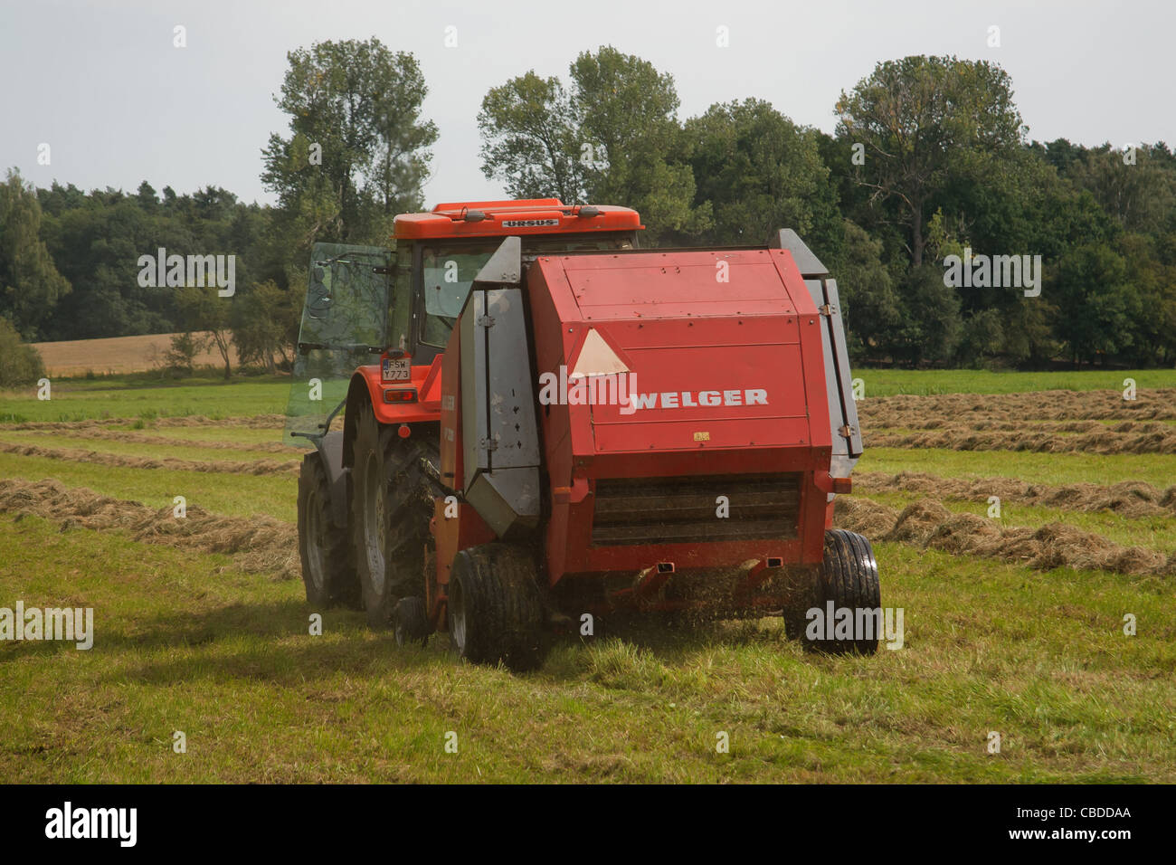 Presse à foin circulaire et du tracteur. Banque D'Images