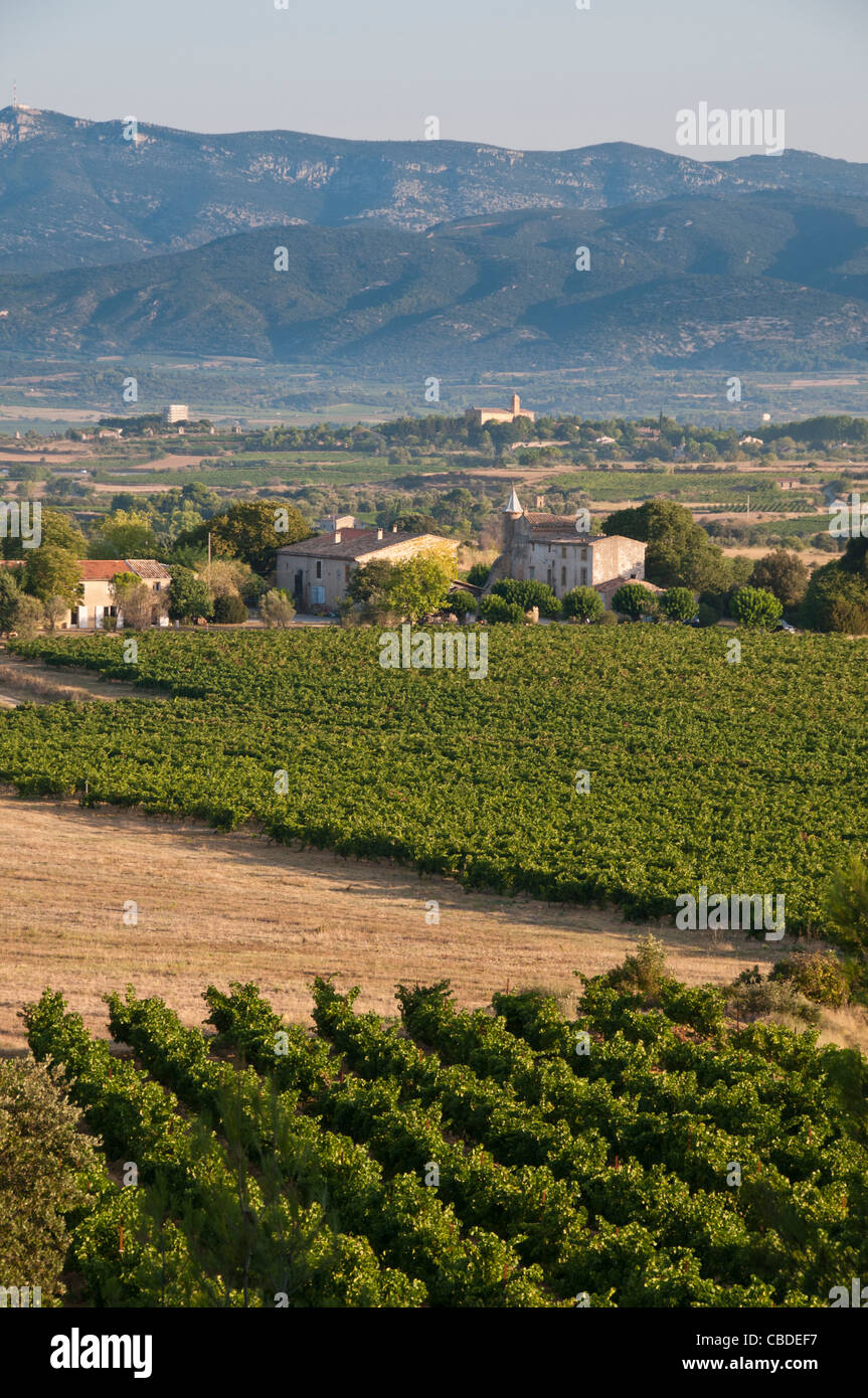 Paysage avec montagnes en arrière-plan, près de Gignac dans l'Hérault en Languedoc Roussillon Banque D'Images